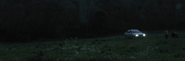 ‌سِیـ ـّد‌'s header picture