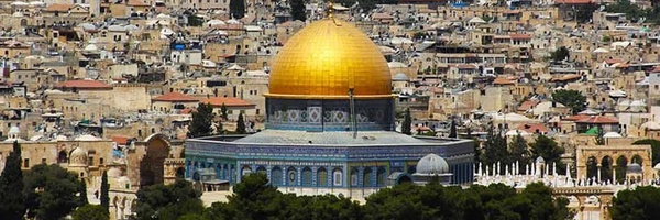 ‌مهرداد نصیری‌'s header picture