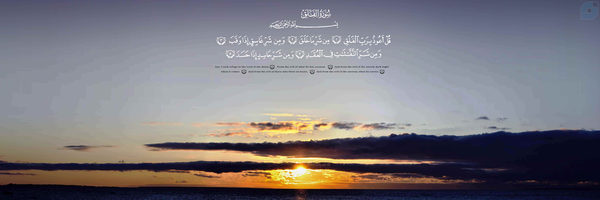 ‌محمدهادی شریفی‌'s header picture
