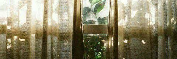 ‌مڪنون /:‌'s header picture