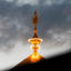 Profile picture of ‌Alireza‌