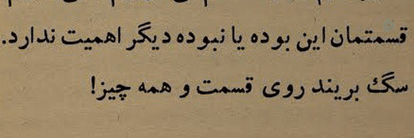 ‌علی مقدم‌'s header picture
