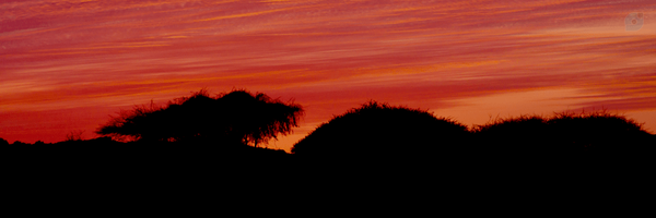 ‌حامد‌'s header picture