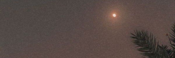 ‌سرباز کوچولو 🇦🇫🪖‌'s header picture