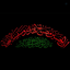 Profile picture of ‌مشکوة نور الله‌
