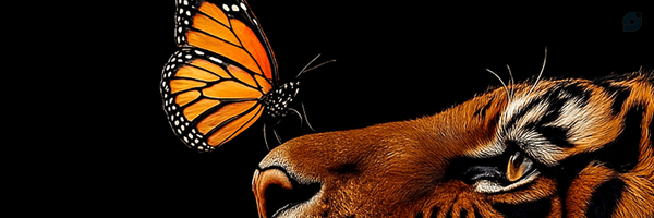 ‌Omid‌'s header picture