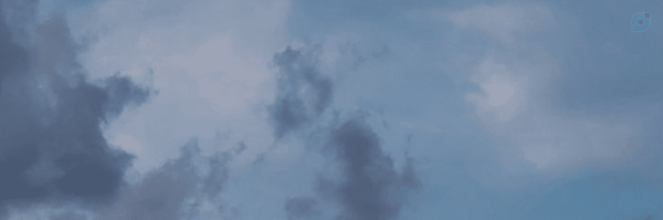 ‌Reza‌'s header picture