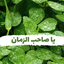 Profile picture of ‌yas bustani‌