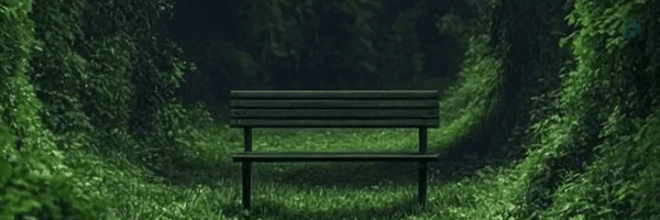 ‌محمدرضا‌'s header picture