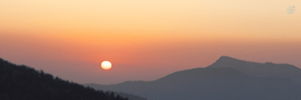 ‌Mn rahimi‌'s header picture