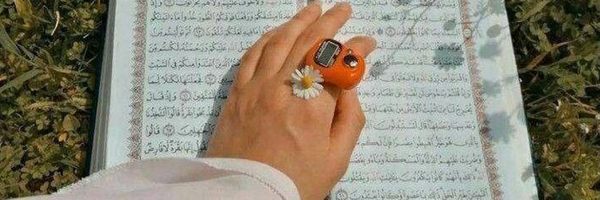 ‌Afsane Dmy‌'s header picture