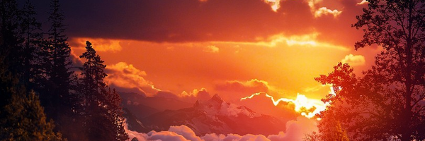 ‌Николай Шакаров‌'s header picture
