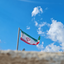 Profile picture of ‌گل نرگس‌