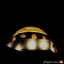 Profile picture of ‌| ویراستیز قــُــم  |‌