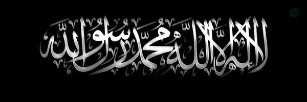 ‌Heidar Elhaee‌'s header picture