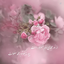 Profile picture of ‌فتاح‌