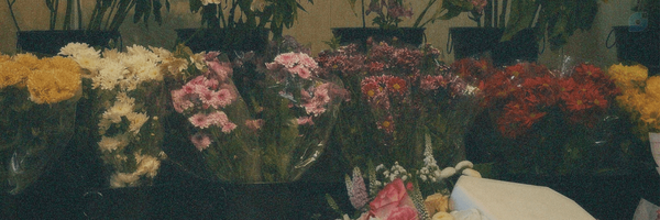 ‌Nazzz🦋‌'s header picture