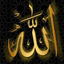 Profile picture of ‌عرفان قلی زاده‌