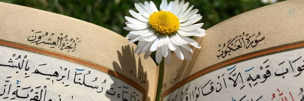 ‌☘️آماج‌'s header picture