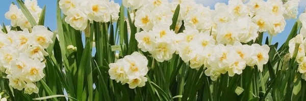‌مهدی عزیزی نسب‌'s header picture