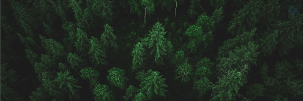 ‌مهدی‌'s header picture