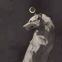 Profile picture of ‌كؤلگه‌