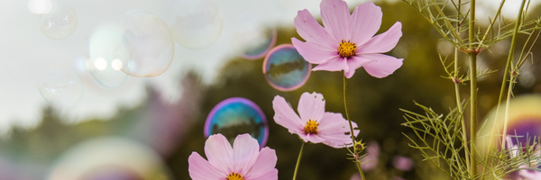 ‌سلیم 🍃 باقری  طادی‌'s header picture