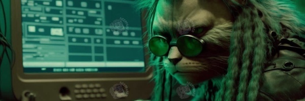 ‌گوربای حق گو‌'s header picture