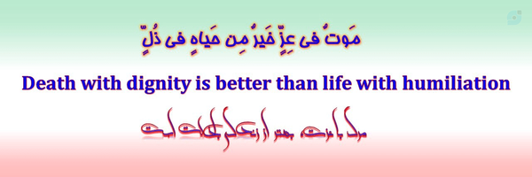 ‌رضا مفید‌'s header picture