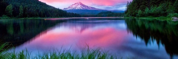 ‌Mohaddeseh‌'s header picture