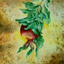 Profile picture of ‌نیلوفر .ح‌