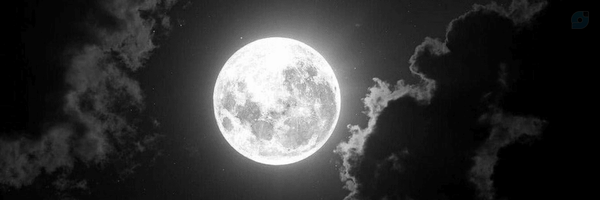 ‌Taha‌'s header picture