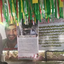 Profile picture of ‌ساجده محمدخانی‌