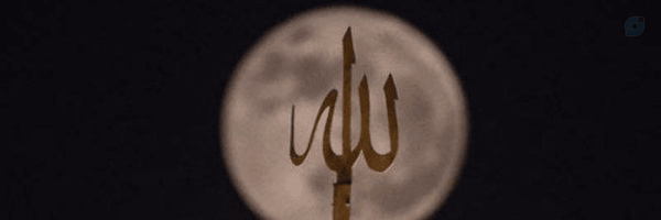 ‌sajjadhapi124014‌'s header picture