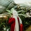 Profile picture of ‌توت فرنگی🍓‌