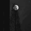 Profile picture of ‌♡Mahya♡‌