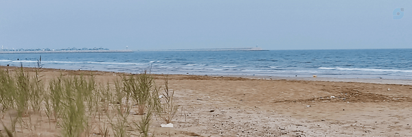 ‌Javad D‌'s header picture