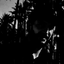 Profile picture of ‌morteza gholami‌