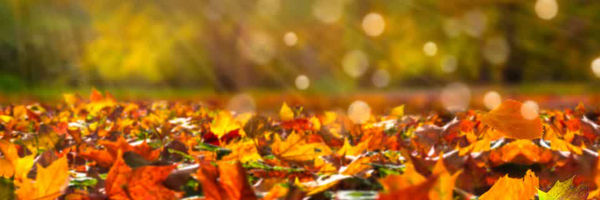 ‌M Abadian‌'s header picture