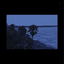 Profile picture of ‌נימה‌