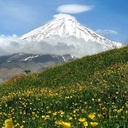 Profile picture of ‌اسماعیل‌