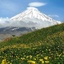 Profile picture of ‌اسماعیل‌