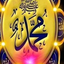 Profile picture of ‌ابو ردين الحسني مهندس وتركيب مصانع انتاج‌