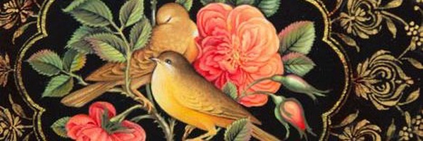 ‌سیداحسان احمدزاده‌'s header picture