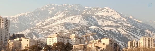 ‌Kamal Arman‌'s header picture