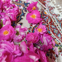 Profile picture of ‌سیما نجیبی‌