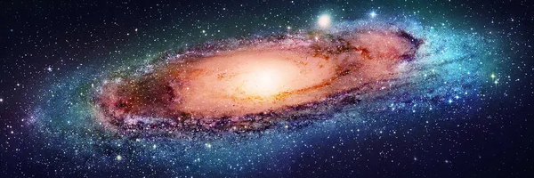 ‌علی حسین زاده‌'s header picture