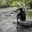 Profile picture of ‌ALireZA‌