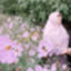 Profile picture of ‌اف.عامری‌