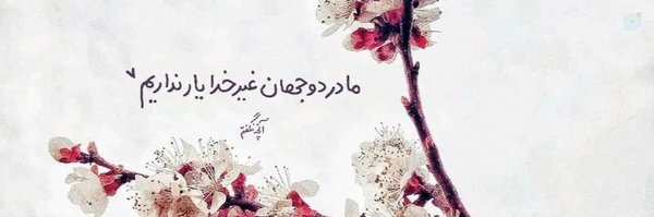 ‌ملیحه سادات حسینی مرام‌'s header picture